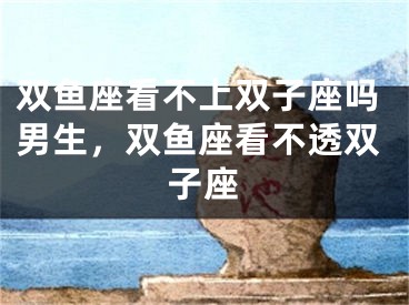 双鱼座看不上双子座吗男生，双鱼座看不透双子座