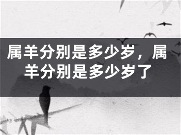 属羊分别是多少岁，属羊分别是多少岁了