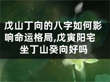 戊山丁向的八字如何影响命运格局,戊寅阳宅坐丁山癸向好吗