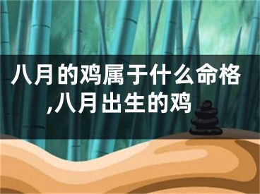 八月的鸡属于什么命格,八月出生的鸡