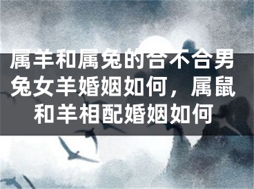属羊和属兔的合不合男兔女羊婚姻如何，属鼠和羊相配婚姻如何