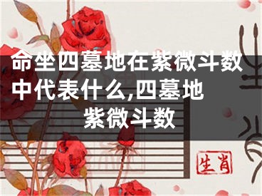 命坐四墓地在紫微斗数中代表什么,四墓地 紫微斗数