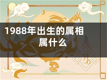 1988年出生的属相属什么