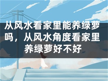 从风水看家里能养绿萝吗，从风水角度看家里养绿萝好不好