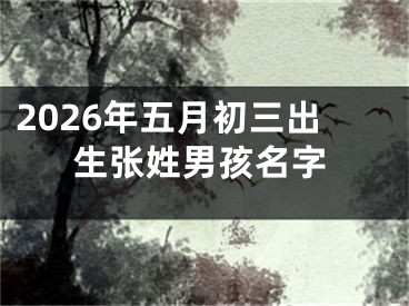 2026年五月初三出生张姓男孩名字