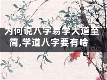 为何说八字易学大道至简,学道八字要有啥