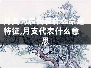 月支为辰代表什么命运特征,月支代表什么意思