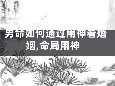 男命如何通过用神看婚姻,命局用神