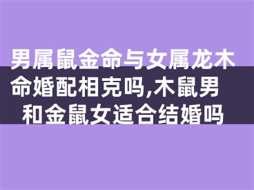 男属鼠金命与女属龙木命婚配相克吗,木鼠男和金鼠女适合结婚吗