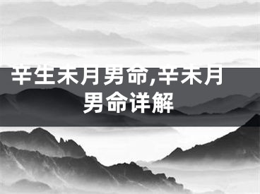 辛生未月男命,辛未月男命详解