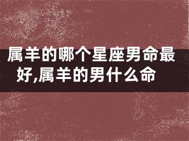 属羊的哪个星座男命最好,属羊的男什么命