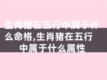 生肖猪在五行中属于什么命格,生肖猪在五行中属于什么属性