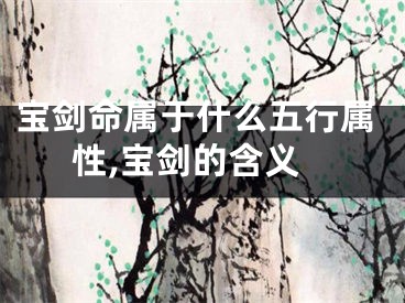 宝剑命属于什么五行属性,宝剑的含义
