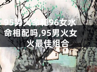 95男火命和96女水命相配吗,95男火女火最佳组合