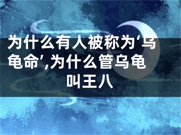 为什么有人被称为‘乌龟命’,为什么管乌龟叫王八