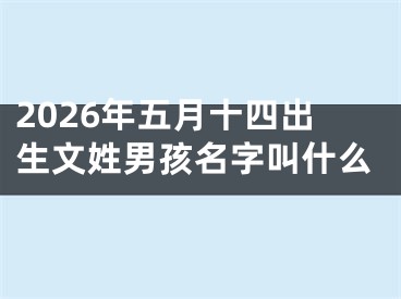 2026年五月十四出生文姓男孩名字叫什么