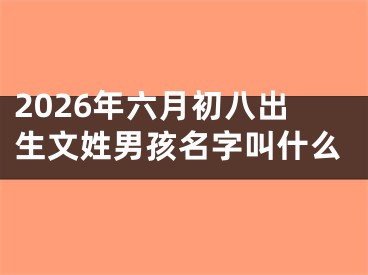 2026年六月初八出生文姓男孩名字叫什么