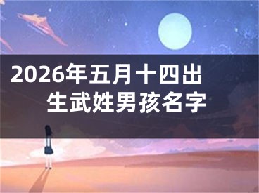 2026年五月十四出生武姓男孩名字