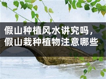 假山种植风水讲究吗，假山栽种植物注意哪些