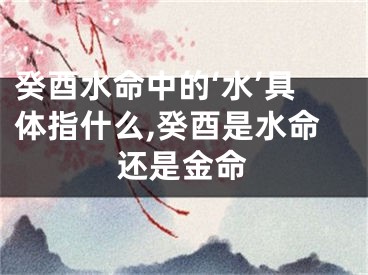 癸酉水命中的‘水’具体指什么,癸酉是水命还是金命