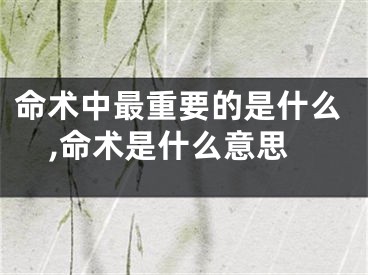 命术中最重要的是什么,命术是什么意思