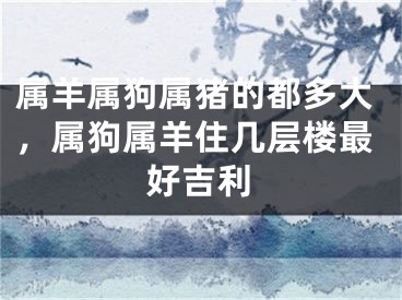 属羊属狗属猪的都多大，属狗属羊住几层楼最好吉利