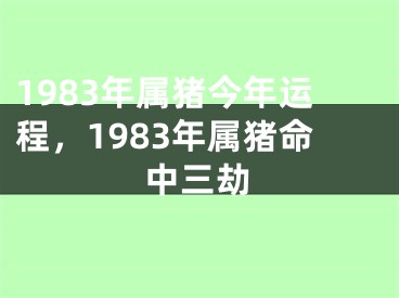 1983年属猪今年运程，1983年属猪命中三劫