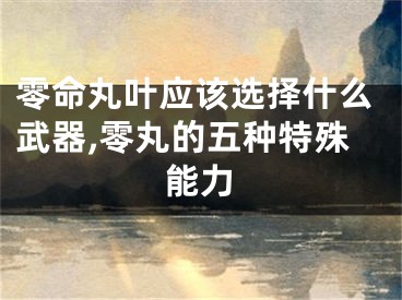 零命丸叶应该选择什么武器,零丸的五种特殊能力