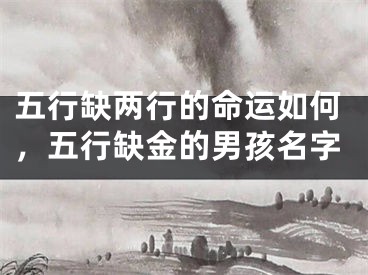 五行缺两行的命运如何，五行缺金的男孩名字