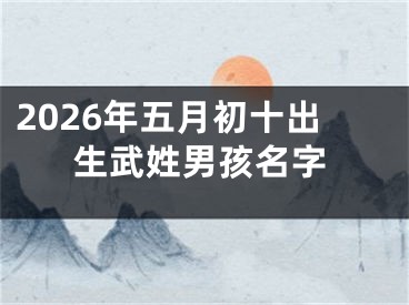 2026年五月初十出生武姓男孩名字