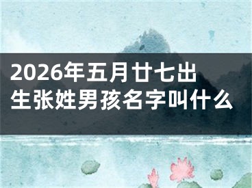 2026年五月廿七出生张姓男孩名字叫什么