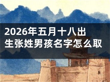 2026年五月十八出生张姓男孩名字怎么取