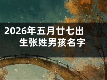 2026年五月廿七出生张姓男孩名字