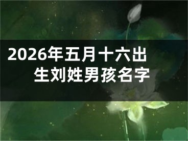 2026年五月十六出生刘姓男孩名字