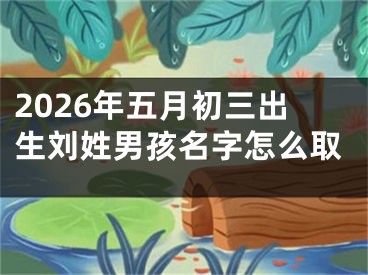 2026年五月初三出生刘姓男孩名字怎么取