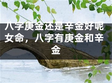 八字庚金还是辛金好呢女命,八字有庚金和辛金