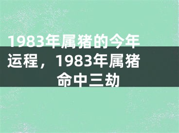 1983年属猪的今年运程，1983年属猪命中三劫