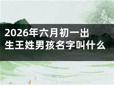 2026年六月初一出生王姓男孩名字叫什么