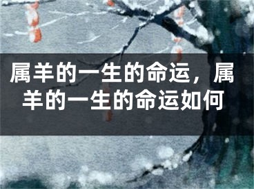 属羊的一生的命运，属羊的一生的命运如何