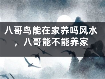 八哥鸟能在家养吗风水,八哥能不能养家