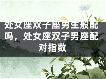 处女座双子座男生般配吗，处女座双子男座配对指数