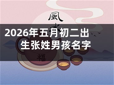 2026年五月初二出生张姓男孩名字