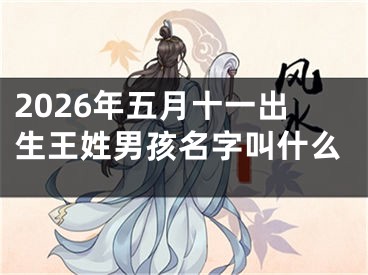 2026年五月十一出生王姓男孩名字叫什么