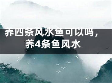 养四条风水鱼可以吗，养4条鱼风水