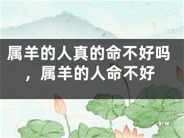 属羊的人真的命不好吗，属羊的人命不好
