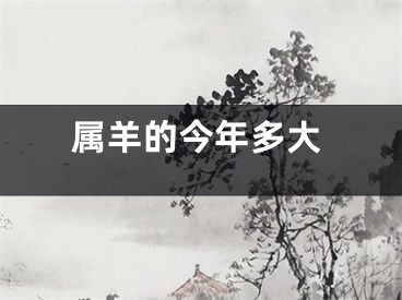 属羊的今年多大