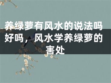 养绿萝有风水的说法吗好吗，风水学养绿萝的害处