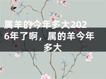 属羊的今年多大2026年了啊，属的羊今年多大