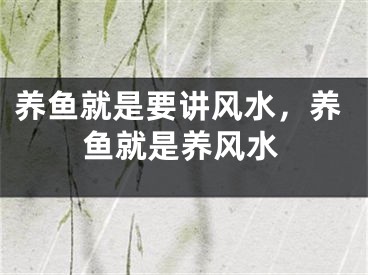 养鱼就是要讲风水，养鱼就是养风水