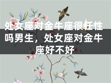 处女座对金牛座很任性吗男生，处女座对金牛座好不好